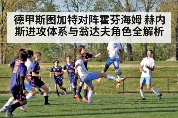 德甲斯图加特对阵霍芬海姆 赫内斯进攻体系与翁达夫角色全解析